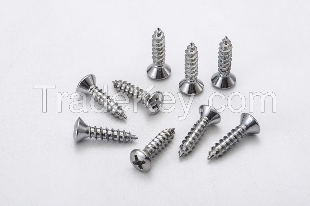 Self Tapping Screw