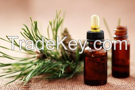 Pine Needle OIl