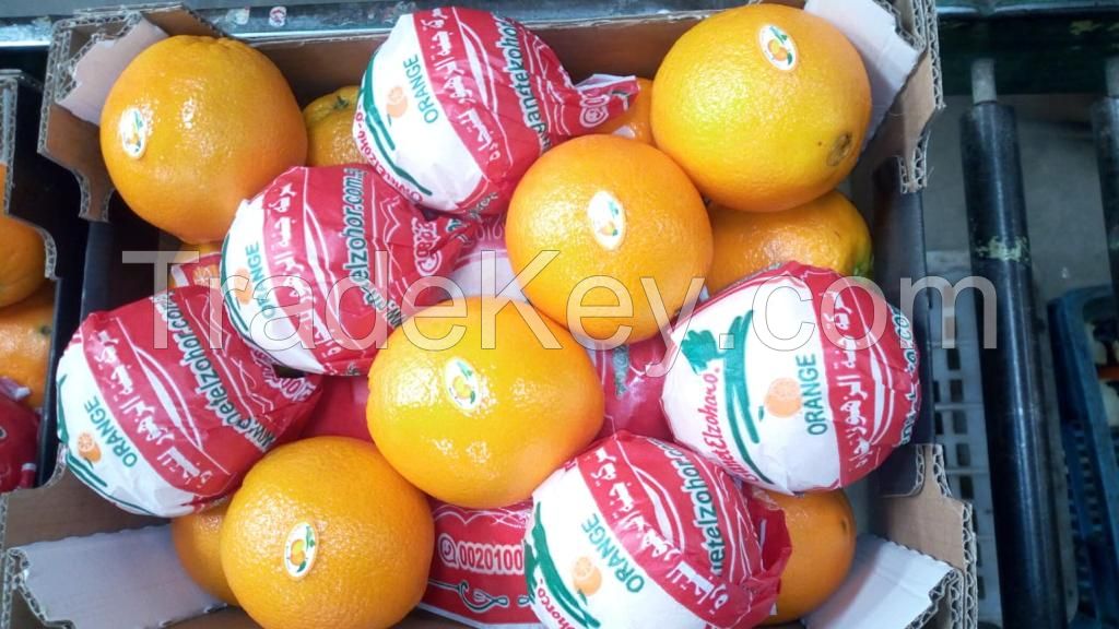 Navel orange