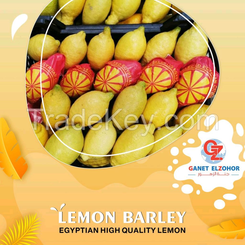 Lemon Barley