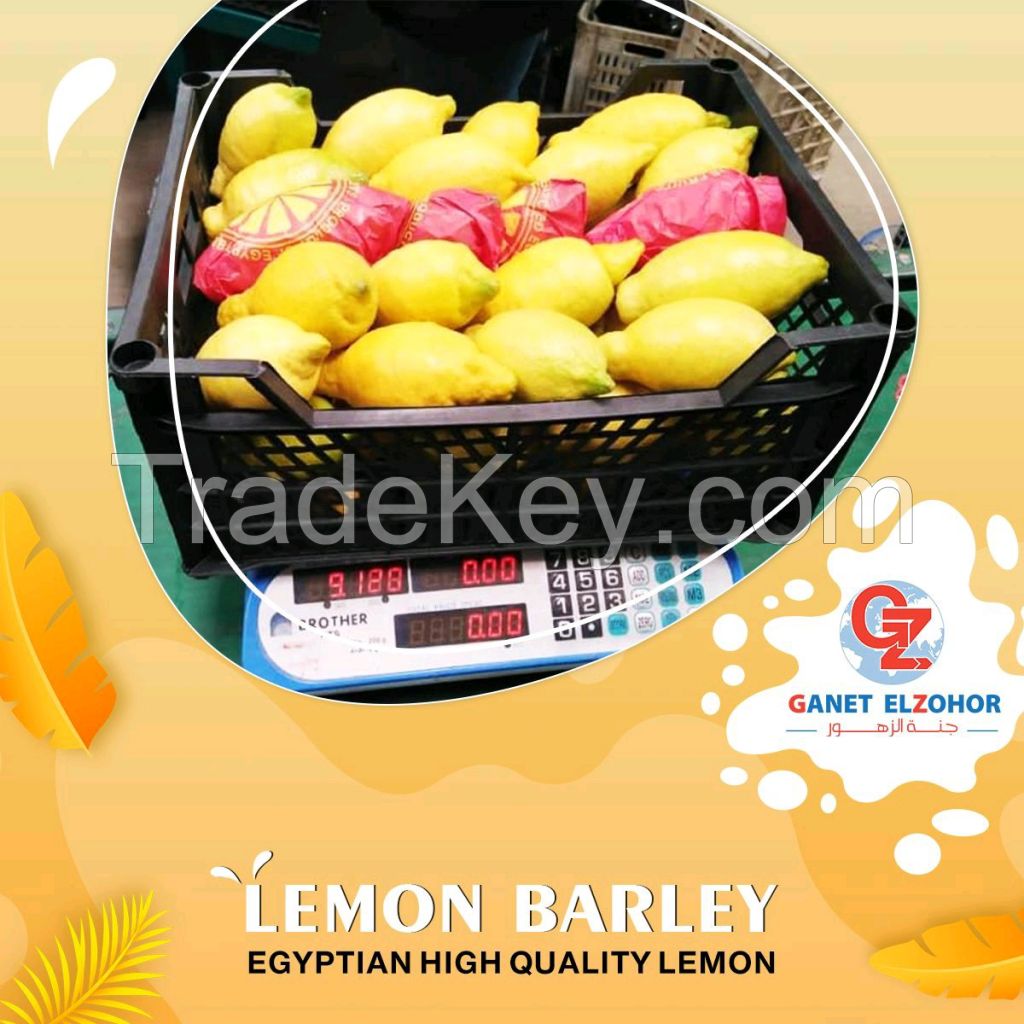 Lemon Barley