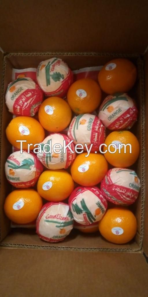 navel oranges