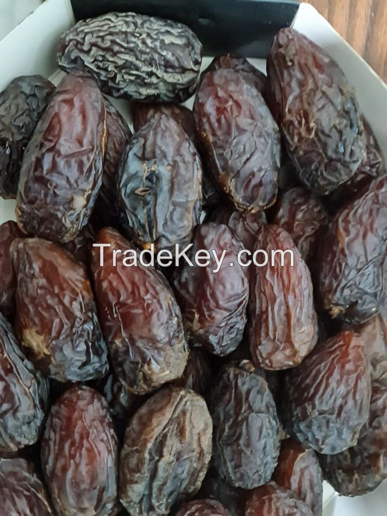 Egyptian dates