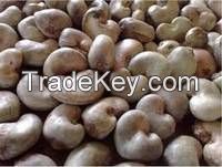 Raw Cashew Nuts