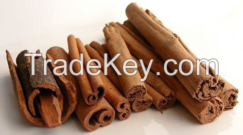 Indonesia Cinnamon
