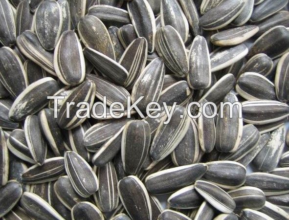 Sunflower seeds