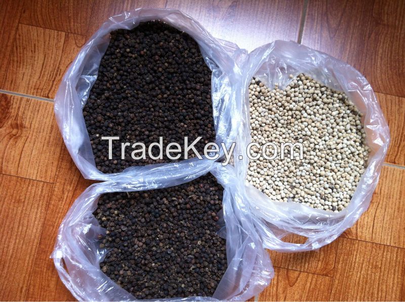 Fresh Pepper/Dried White Peper/ Black Pepper 