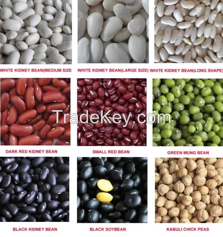  Green mung beans, kidney beans, navy beans 