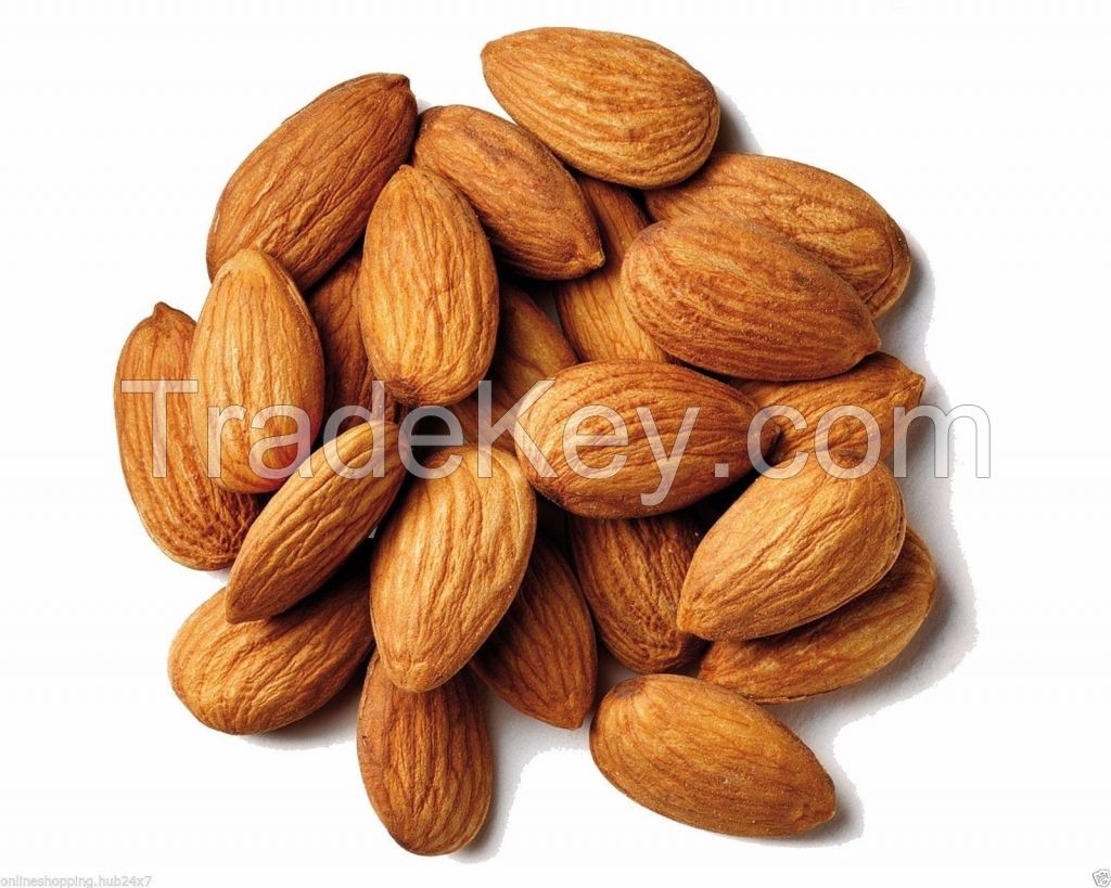 Raw Natural Almond Nuts for Sale 