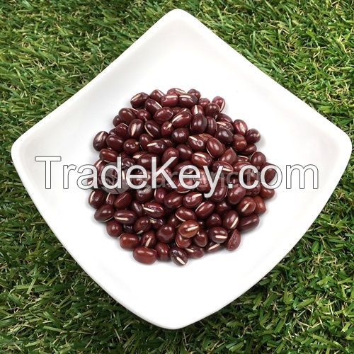 Organic Adzuki Bean