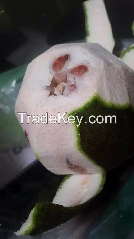 Fresh Green Skin Pomelo - Grapefruit with thin peel from Vietnam