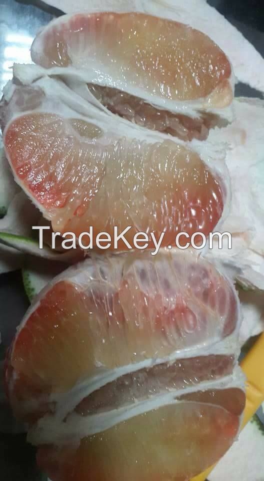 Fresh Green Skin Pomelo - Grapefruit with red meat from Vietnam