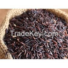 High Quality Long-Grain Organic Black Rice for Sale
