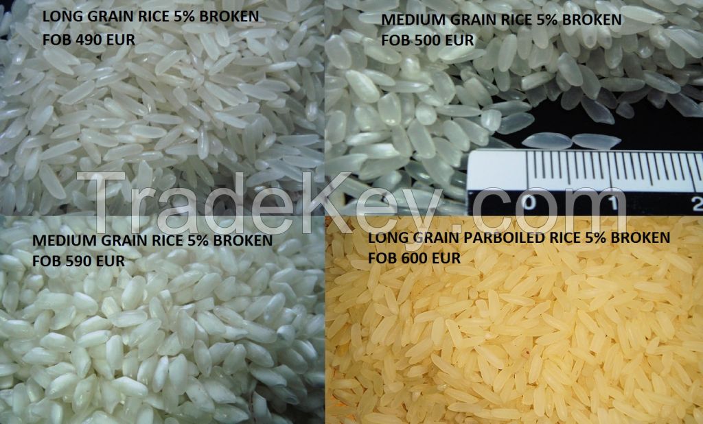 PREMIUM QUALITY Rice OFFER from GREECE 