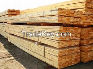 Timber from Russia