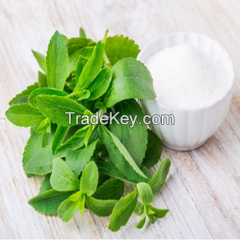 natural sweetener stevia extract