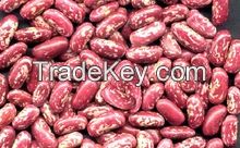 SPARKLED KIDNEY BEANS / WHITE KIDNEY BEANS / RED KIDNEY BEANS