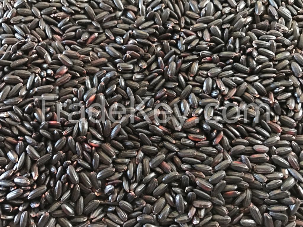 Black and Red Rice from South America