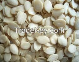 High Quality Melon Seeds