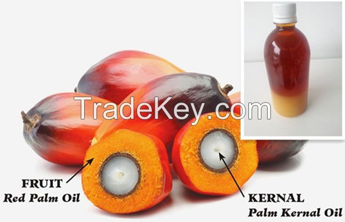 Palm Kernel Oil