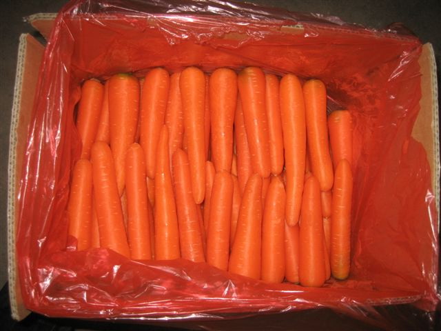fresh and frozen carrot