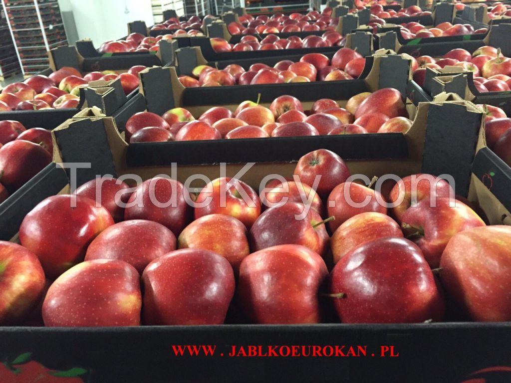 Polish apples from the manufacturer, Red Prince, Gala, Ligol, Golden, Ruby Star, Mutsu, Idared, Lobo, Shampion, Gloster, Jonagored, Cortland, Jonagold.