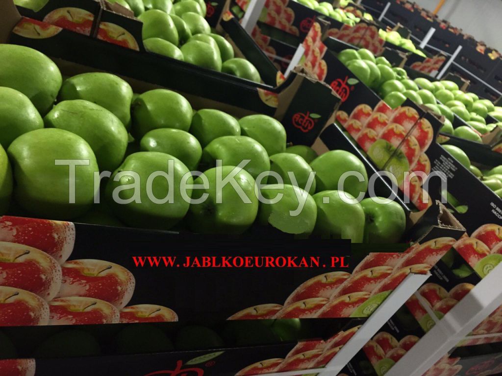 Polish apples from the manufacturer, Red Prince, Gala, Ligol, Golden, Ruby Star, Mutsu, Idared, Lobo, Shampion, Gloster, Jonagored, Cortland, Jonagold.