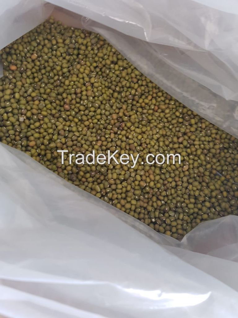 NEW CROP green mung bean