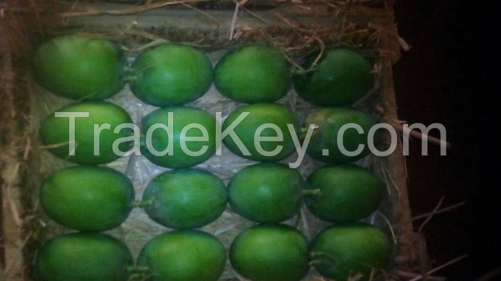 Grade A++ Extra Large Ratnagiri Alphonso (Haphoos) mangoes 