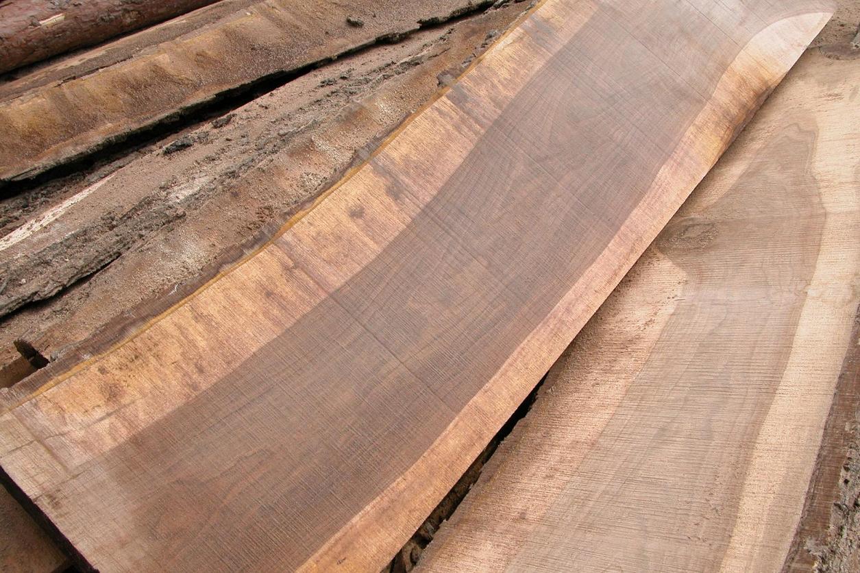 Walnut, Walnut Lumber, Logs