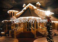 Aurora Holiday & Christmas Lights
