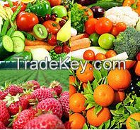 Fresh Fruits And Vegetables
