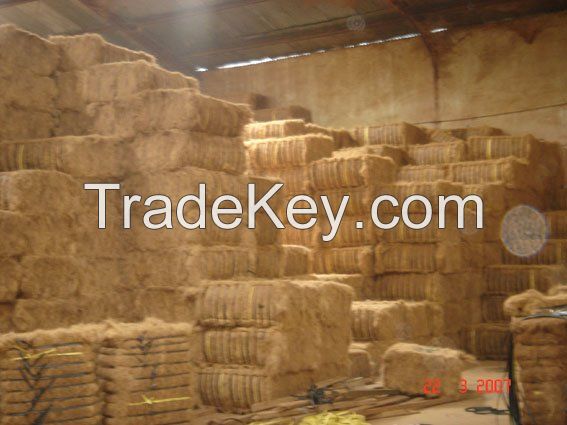 Coir Fiber