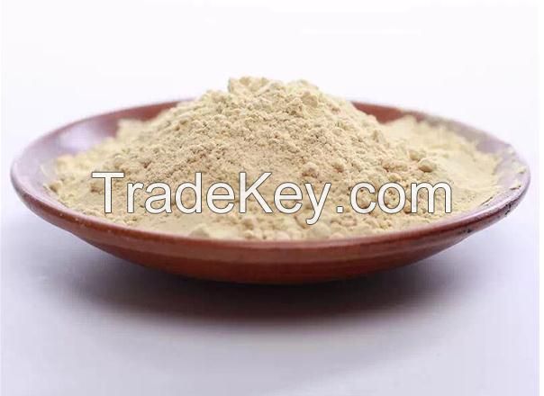 ginger powder dehydrated in China