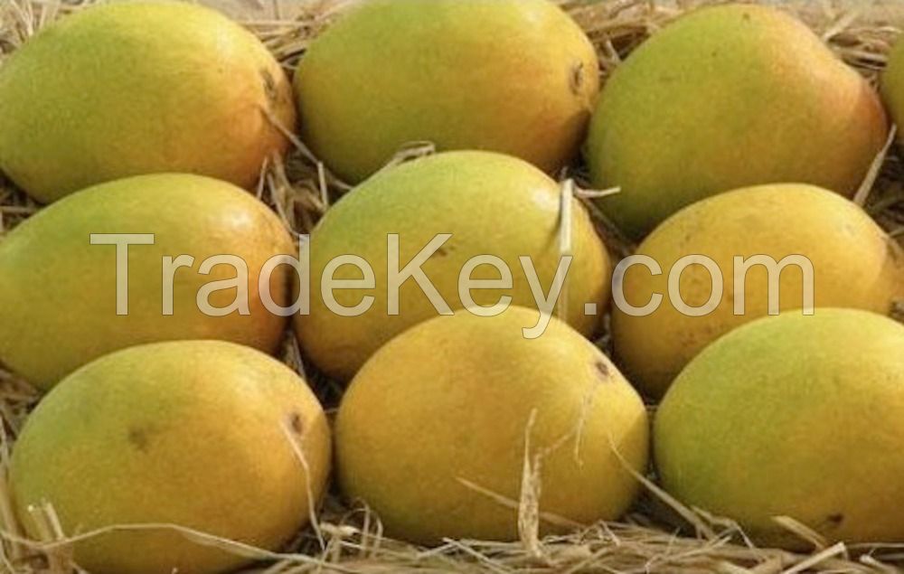 Fresh Mangos