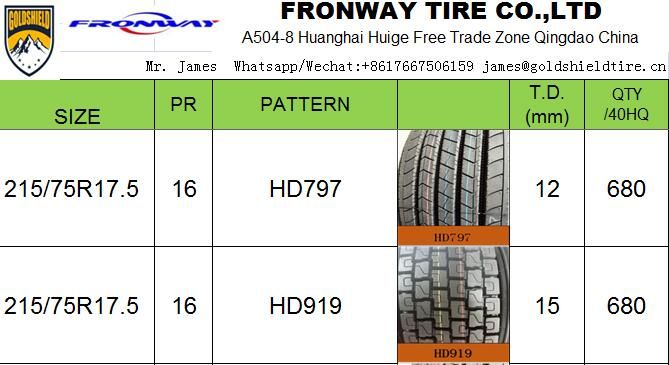 GOLDSHIELD FRONEWY TRUCK TRAILER BUS TIRES 12R22.5