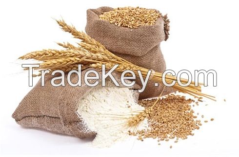 Wheat Flour