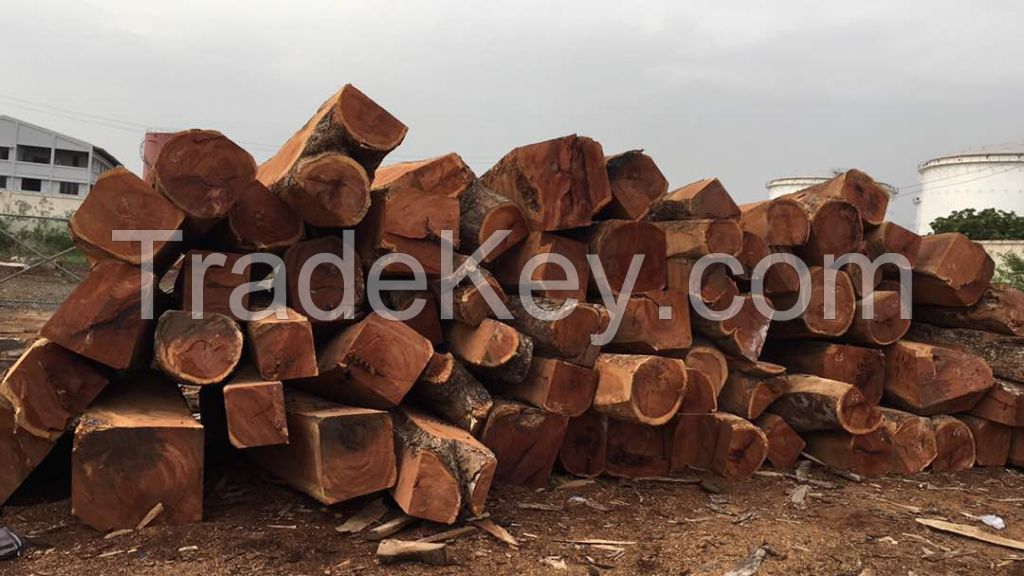 Timber 