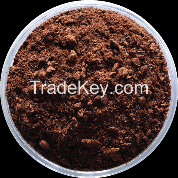 Peat Moss