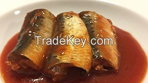 Canned Sardines Fish in Tomato Sauce