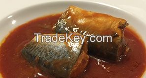 Canned Mackerel Fish in Tomato Sauce