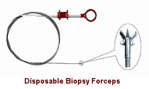 Disposable Biopsy Forceps with Spike