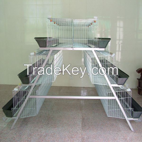 h-type control chicken layer cage price