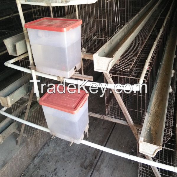 poultry layer farming equipment layer chicken battery cages for zimbabwe poultry farms
