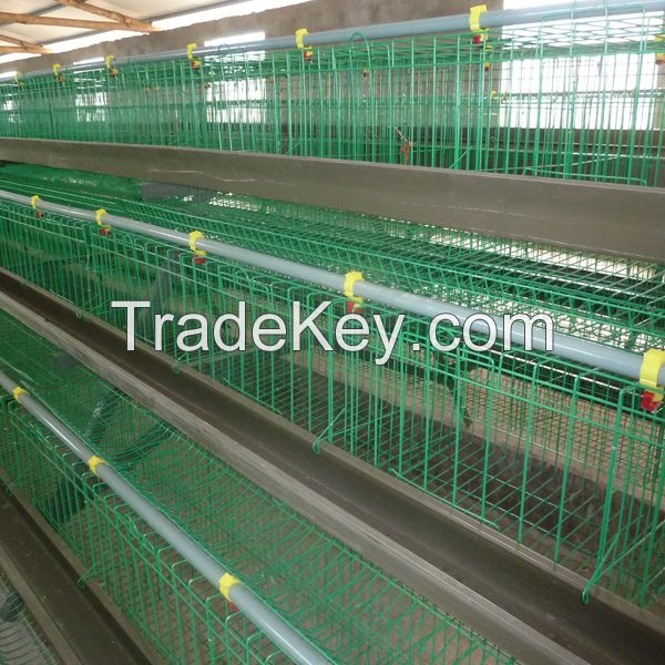 automatic chicken cage poultry equipment with feeding and drinking system 