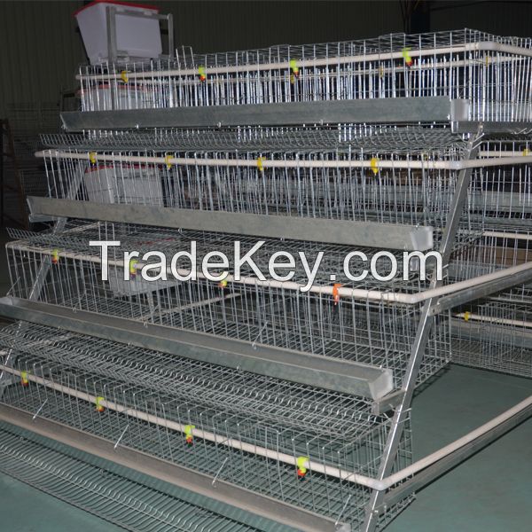 automatic breeding poultry farm cage design for big chickens