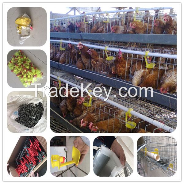 automatic chicken cage poultry equipment with feeding and drinking system 