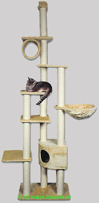 cat tree