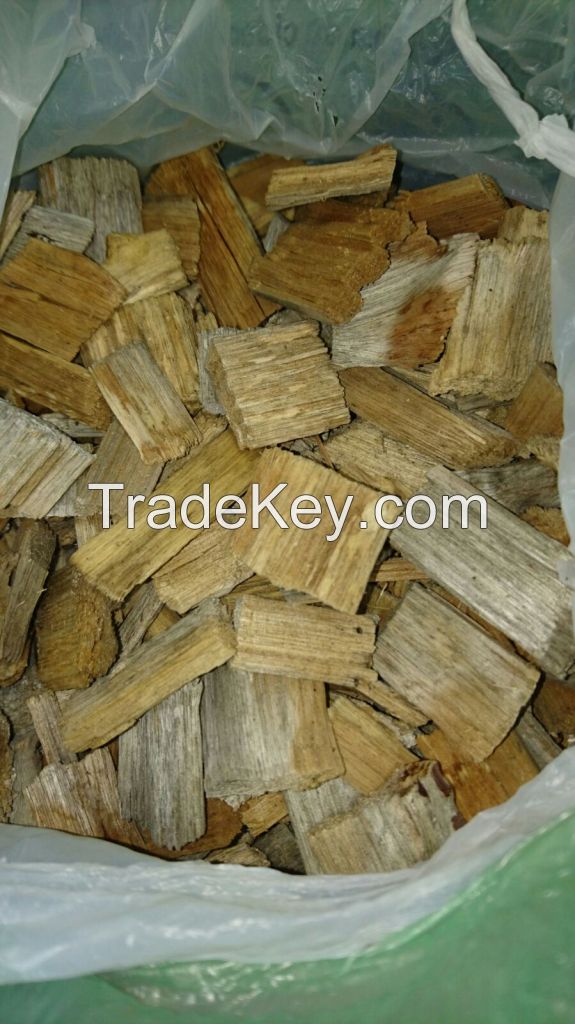 Wood chips eucalyptus