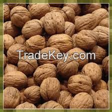 Raw walnuts with shells, Cashew nuts/ dried groundnuts, soya bean